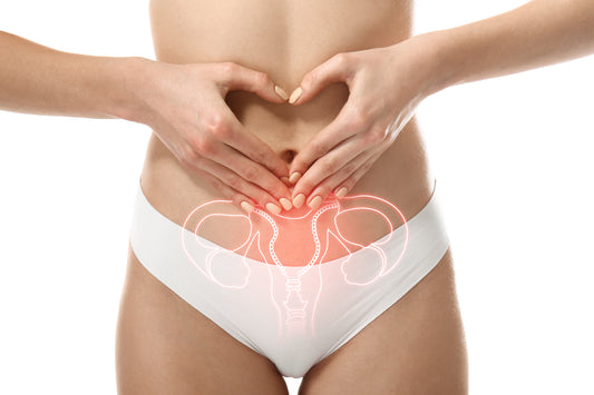 Women’s health body illustration representing wellness and well-being.
